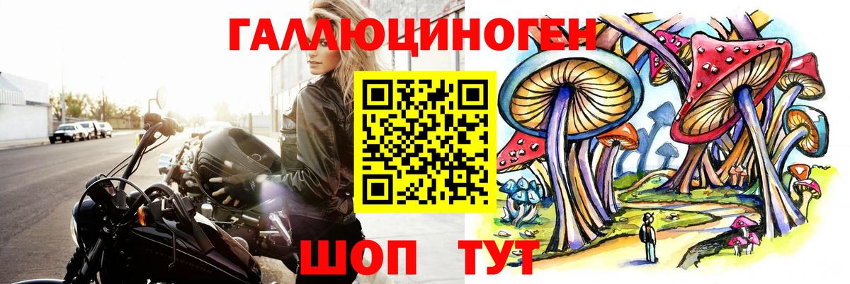 Псилоцибиновые грибы Psilocybine cubensis Пермь